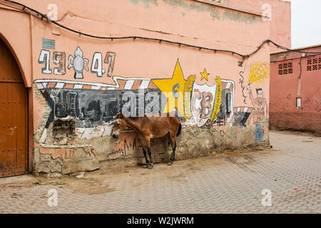 Donkey standing in a street of the Medina in Marrakech, Morocco Stock Photo