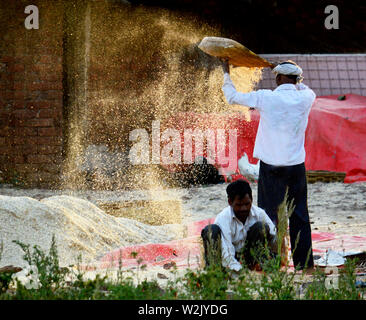 Winnowing or wind winnowing Stock Photo