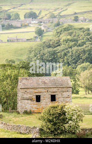 Afternoon light across Wensleydale, Yorkshire Dales National Park, North Yorkshire, England, UK Stock Photo