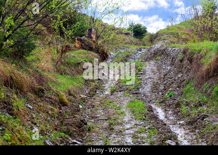 View of a broken country road leading up the slope between wet shrubs after the last rain to the blue cloudy sky. Stock Photo