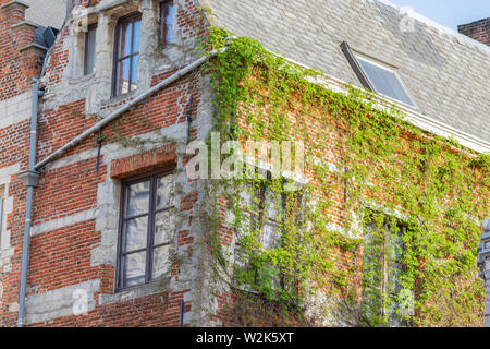 Red brick building with green vine on the wall in Antwerp, Belgium Stock Photo