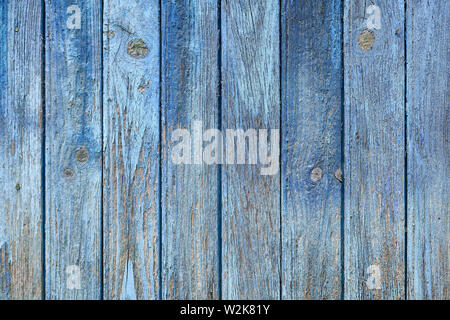 Abstract Rustic aged closeup of barn wood panel painted with light blue faded color. Multiple vertical slats with vertical wood lines with major knot Stock Photo