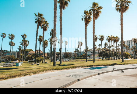 Palm trees at Santa Monica beach. Vintage travel, summer, vacation and tropical beach concept. Stock Photo