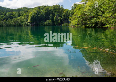 Azure colored lake with cascades of pure fresh water rushing into the lake in the background - Plitvice Lakes National Park, Croatia Stock Photo