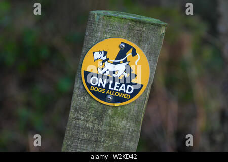 An orange sign saying dogs are allowed on their lead at Loynton Moss, Staffordshire, England, UK Stock Photo
