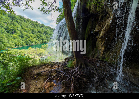 Scenic view of pure fresh water rushing down a rock flushing out the roots of a tree at the Plitvice Lakes National Park in Croatia Stock Photo