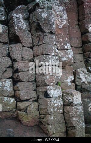 The hexagonal volcanic rock columns at Giant’s Causeway are unique and ...