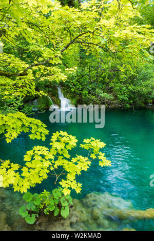 The pure fresh water of a small creek cascades into the azure coloured crystal clear water of a pond at the Plitvice Lakes National Park in Croatia Stock Photo