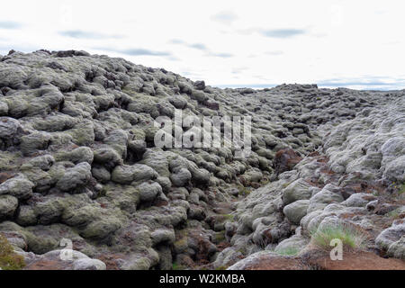 Lava from the Laki lava flows covered in woolly fringe moss (racomitrium lanuginosum), Skaftáreldahraun, Iceland. Stock Photo