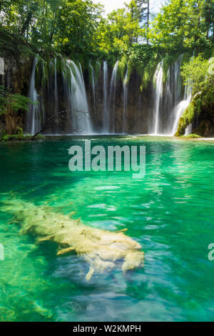 Pure fresh water rushing into an azure coloured lake at the Plitvice Lakes National Park, Plitvička Jezera, Croatia Stock Photo