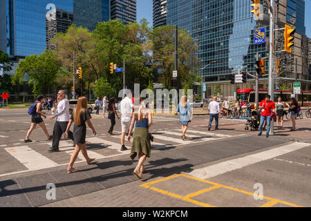 Toronto, Canada - 22 June 2019: A crowd of people crossing York street in Downtown Toronto Stock Photo