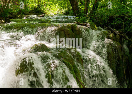 Rushing water cascades down the overgrown natural barriers deep in the dense forest of the Plitvice Lakes National Park, Croatia Stock Photo