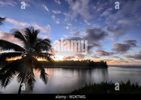 Atmospheric sunrise over Muri Beach and lagoon, with a pink sky and a palm tree silhouetted, Rarotonga, Cook Islands, Polynesia Stock Photo