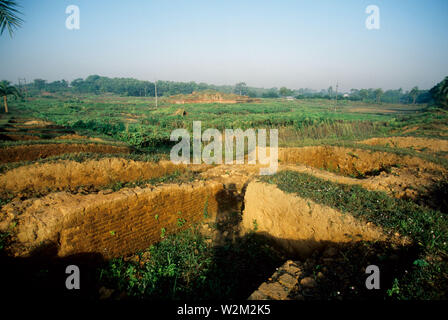 Paharpur Buddhist Monastery, a tourist attraction of North Bengal was established by King Dharma Pal in 7th century. Located in Paharpur village 5 km. west of Jamalganj in the greater Rajshahi district, this 7th century archaeological find covers approximately an area of 27 acres of land. The main temple is in the center of the Monastery. The architecture of the pyramidal cruciform temple is profoundly influenced by those of South-East Asia, especially Myanmar and Java. It is a UNESCO World Heritage site. Bangladesh. 1997. Stock Photo