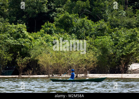 Landscape, Cuieiras River, Manaus, Amazônia, Amazonas, Brazil Stock Photo