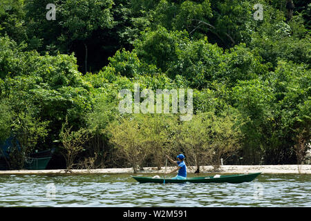 Landscape, Cuieiras River, Manaus, Amazônia, Amazonas, Brazil Stock Photo