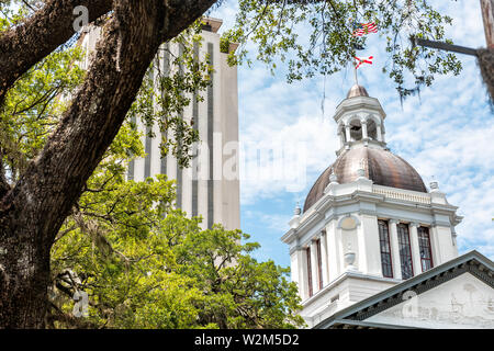 Tallahassee, USA - April 26, 2018: State capitol building in Florida during day with modern architecture of government and tree closeup Stock Photo
