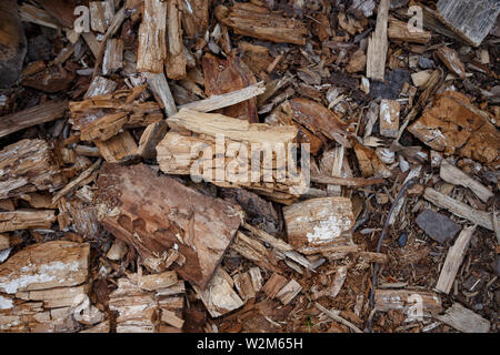 Background from random pieces of wood. Firewood. Stock Photo
