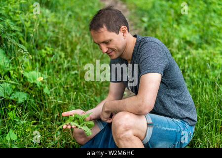 Young happy healthy man picking wild green dandelion leaves for health on trail in park or garden smiling looking down Stock Photo