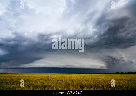 Dramatic storm clouds over a wheat field near Carmen, Oklahoma, USA Stock Photo