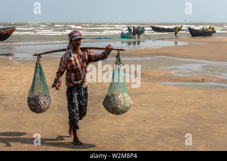 Digha, West Bengal, India. - May,30,2019. An unidentified Fisherman carrying small fishes into his fishing net for selling them at the local market. Stock Photo
