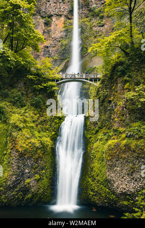Multnomah Falls is the most visited natural recreation site in the Pacific Northwest, Columbia River Gorge National Scenic Area, Oregon, United States Stock Photo