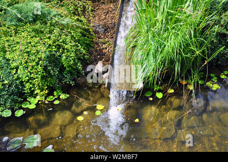 Landscape and arrangement. Driving mill wheel with falling water in the garden. Stock Photo