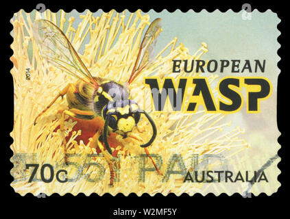 AUSTRALIA - CIRCA 2014: A used postage stamp from Australia, depicting an illustration of European Wasp, circa 2014. Stock Photo