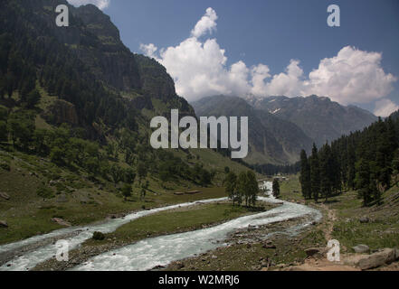 Srinagar. 8th July, 2019. Photo taken on July 8, 2019 shows the scenery of a river at Lidder Wath in Pahalgam, south of Srinagar city, the summer capital of Indian-controlled Kashmir. Credit: Javed Dar/Xinhua/Alamy Live News Stock Photo