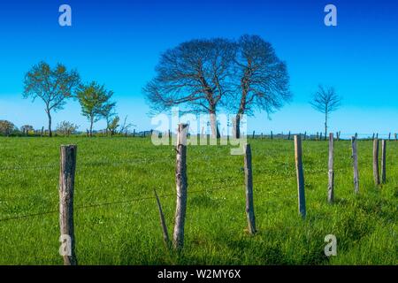 France, Auvergne, Cantal, Landscape in spring , near Parlan.