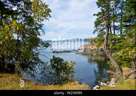 Day area in Ruckle Provincial Park on Salt Spring Island, BC, Canada.  Forests and ocean as seen from Salt Spring Island, British Columbia. Stock Photo