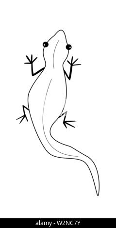 Lizard outline black vector on white isolate Stock Vector