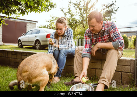 Young and happy farmer's couple at their garden near by home in sunny day. Man and woman playing with their dog and laughting. Concept of farming, agriculture, healthy lifestyle, family, relations. Stock Photo