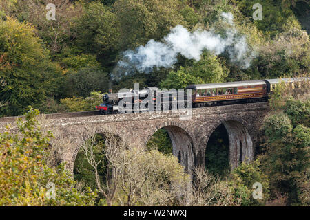 Dartmouth Steam Railway train Stock Photo