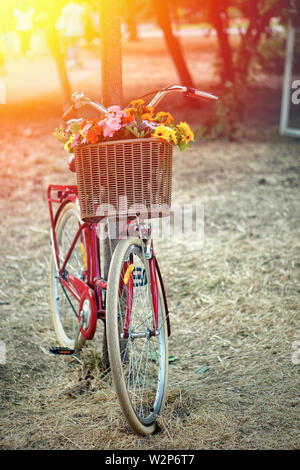 Retro red bicycle in a garden with a basket of flowers in the rays of the sun. Stock Photo