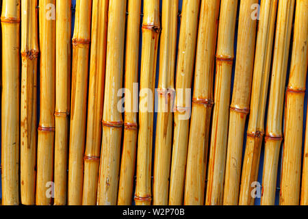 Natural dry Background texture bamboo vertical arrangement of trunks pattern. Stock Photo