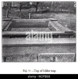 19th century knowledge traps and snares miller sparrow trap 1 Stock Photo