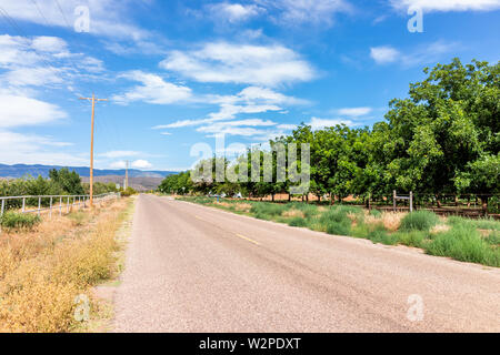 La Luz town in New Mexico with road street path and pistachio trees farm rows and nobody during sunny summer day Stock Photo