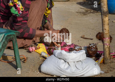 Ajmer, India - February 07, 2019: Indian woman makes fake Kasturi Deer Musk Pod from dog's skin on the street in Ajmer. Rajasthan Stock Photo