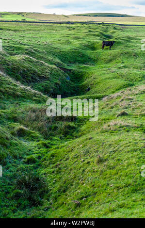 Hillocks and shaft hollows marking the line of Wrangling Rake, a major lead vein on Castleton Moor. Stock Photo