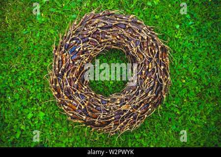 An ornament of dried chillies on green grass Stock Photo