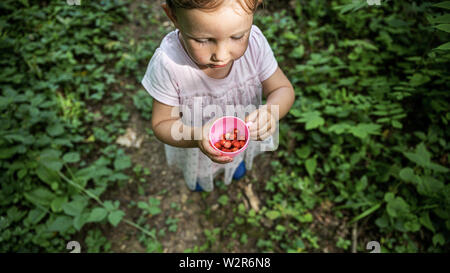 Overhead view of a toddler girl in pink dress holding a cup with wild strawberries standing on a forest footpath. Stock Photo