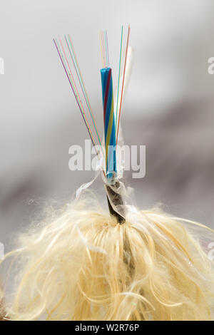 Fiber Optical Network Cable Stock Photo