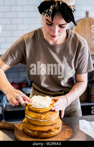 A cook working in a commercial kitchen assembling a layered sponge cake with fresh cream. Stock Photo