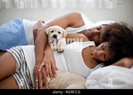 Affectionate couple sleeping on bed with Labrador puppies. Stock Photo