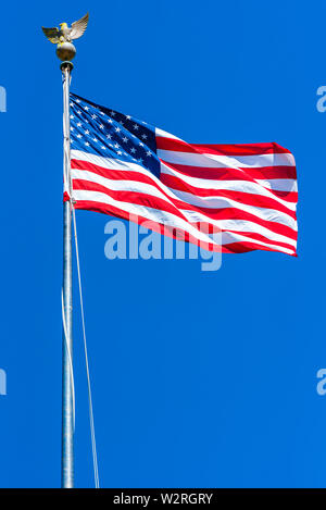 American flag at the Golden Gate National Cemetery, San Bruno, California, USA. Vertical. Isolated on blue background. Stock Photo