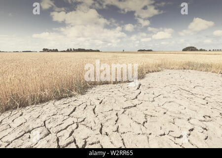 Dry and arid land with failed crops due to climate change and global warming. High temperatures heat op the atmosphere of a hot earth. Stock Photo