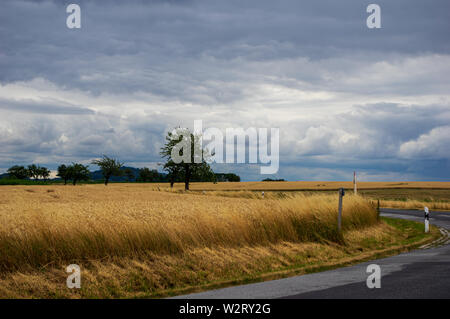 bend in a road with ripe wheat field in front of dramatic sky with storm clouds with single tree Stock Photo