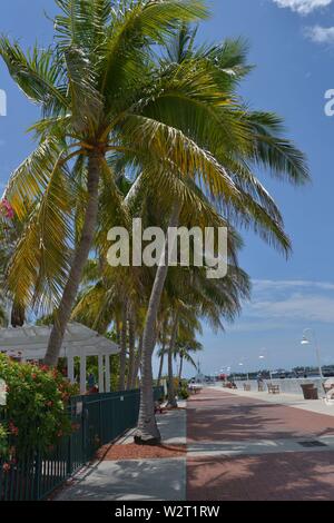 Key, West Florida sights Stock Photo