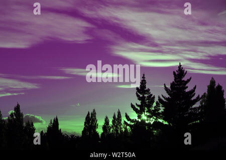 Pop Art Styled Dazzling Light of Setting Sun Shining Through the Silhouette of Pine Trees Stock Photo